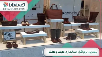 بهترین نرم افزار حسابداری کیف و کفش