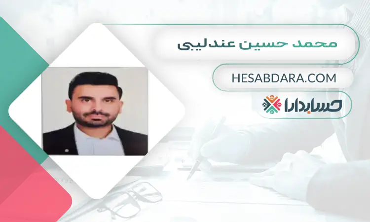 محمد حسین عندلیبی بهترین وکیل مالیاتی در تهران