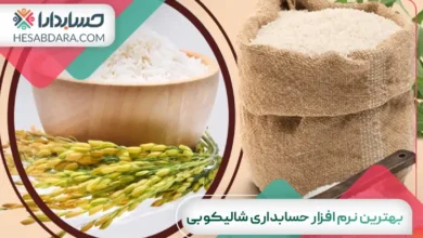 بهترین نرم افزار حسابداری شالیکوبی