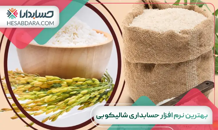 بهترین نرم افزار حسابداری شالیکوبی