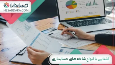 آشنایی با انواع شاخه های حسابداری