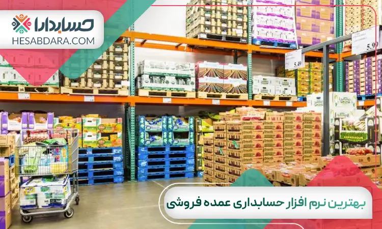 بهترین نرم افزار حسابداری عمده فروشی